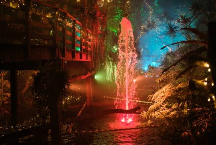 PANTROPICA, voorheen Junglepark De Orchideeën Hoeve: ook in de winter feeëriek spektakel